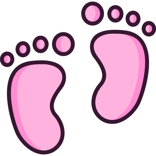 Footprint SBTS2018 Lineal Color icon
