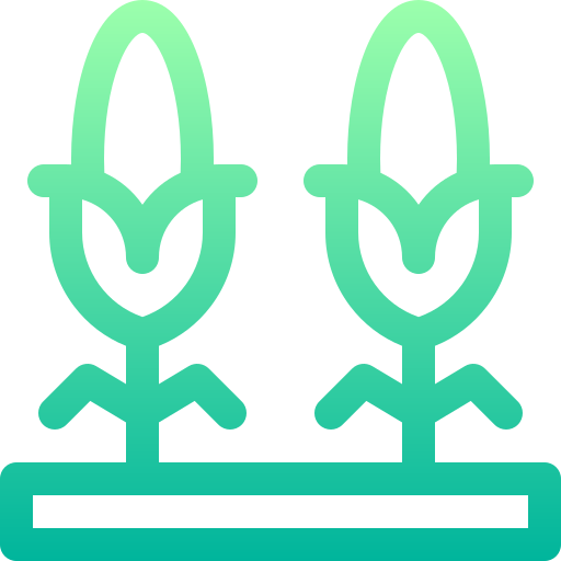 옥수수 Basic Gradient Lineal color icon