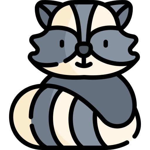 raccoon Kawaii Lineal color icon