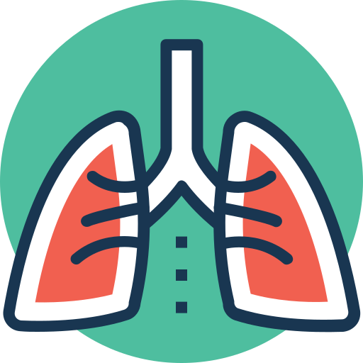 人間の肺 Generic Rounded Shapes icon