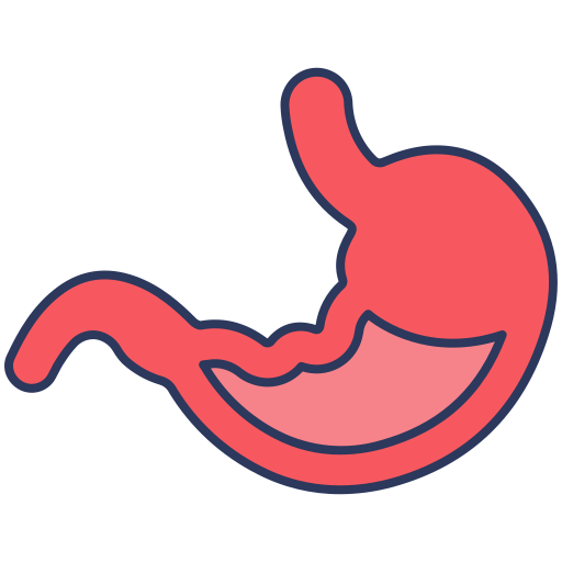 bauch Generic Outline Color icon