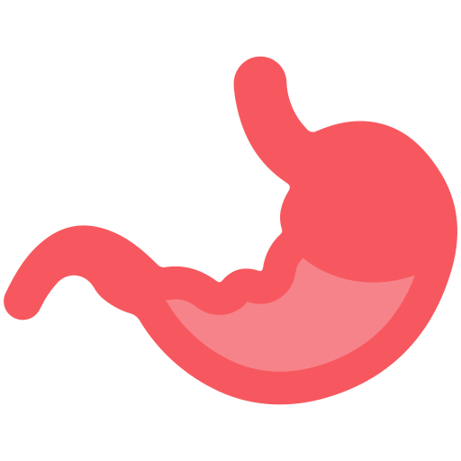 bauch Generic Flat icon