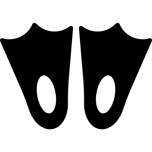 두 개의 오리발  icon