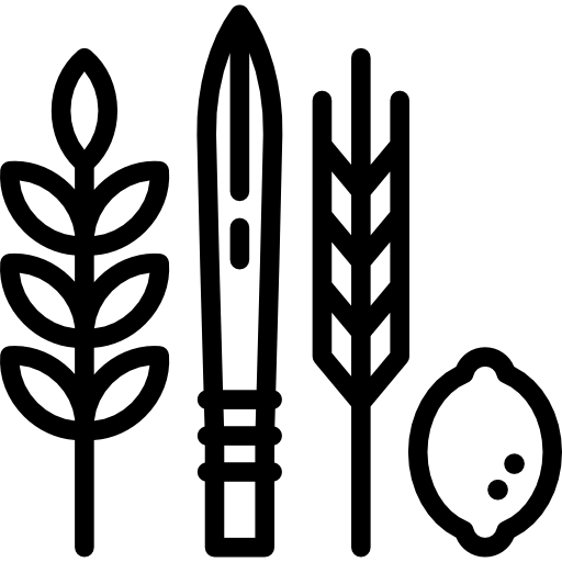 quattro specie Special Lineal icona