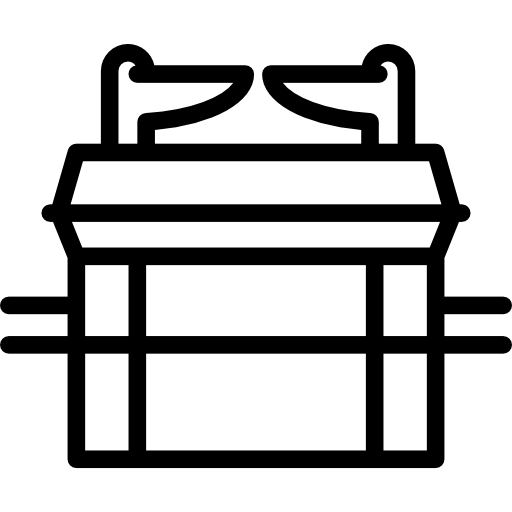 조약의 방주 Special Lineal icon