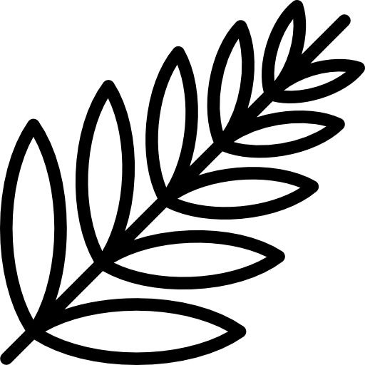Пальмовый лист  иконка