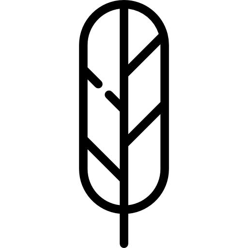pluma Special Lineal icono