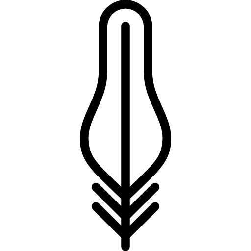 pluma Special Lineal icono