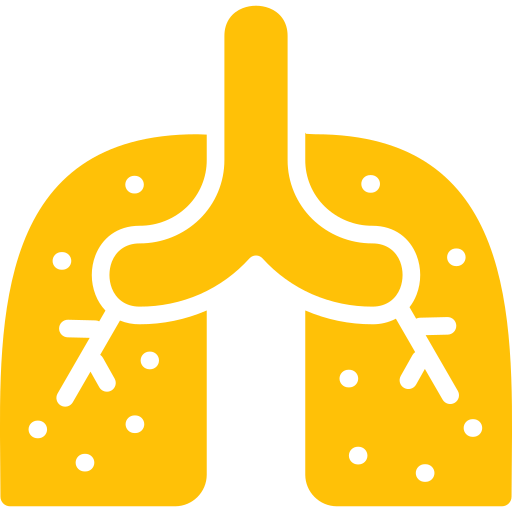 Lungs Generic Flat icon