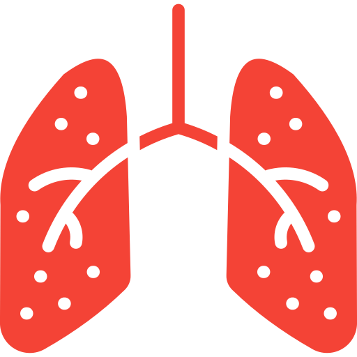 lunge Generic Flat icon