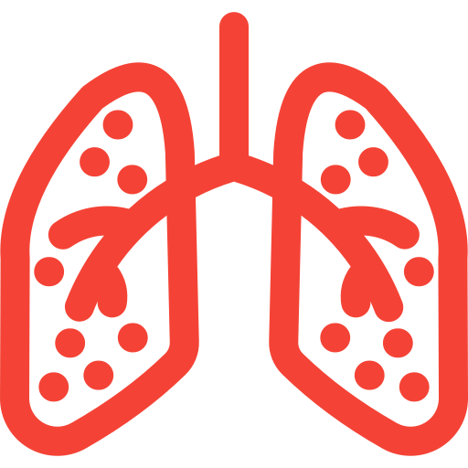 Lungs Generic Simple Colors icon