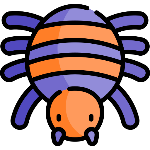 クモ Kawaii Lineal color icon