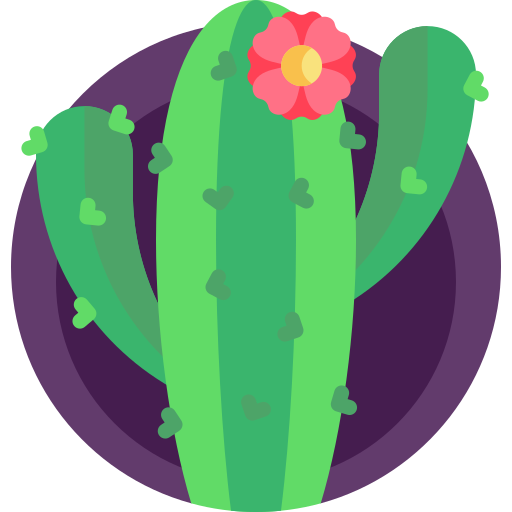 Cactus Detailed Flat Circular Flat icon