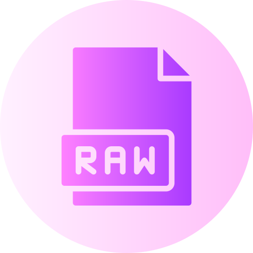 Raw file Generic Flat Gradient icon