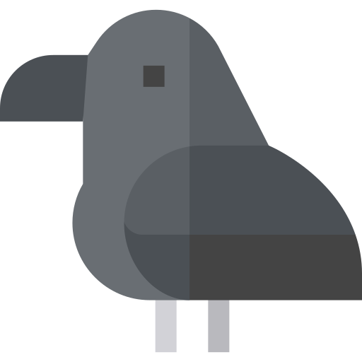 corvo Basic Straight Flat icona