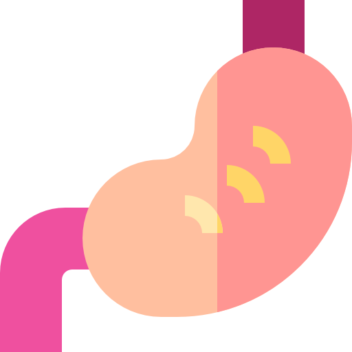Stomach Basic Straight Flat icon