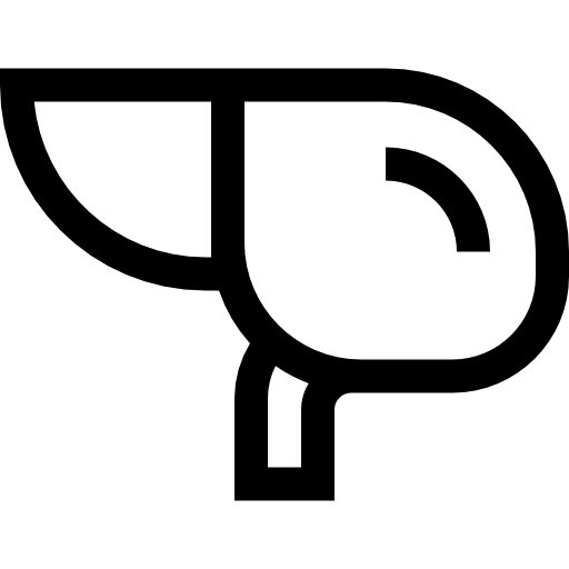 肝臓 Basic Straight Lineal icon