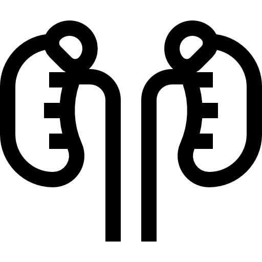 riñones Basic Straight Lineal icono