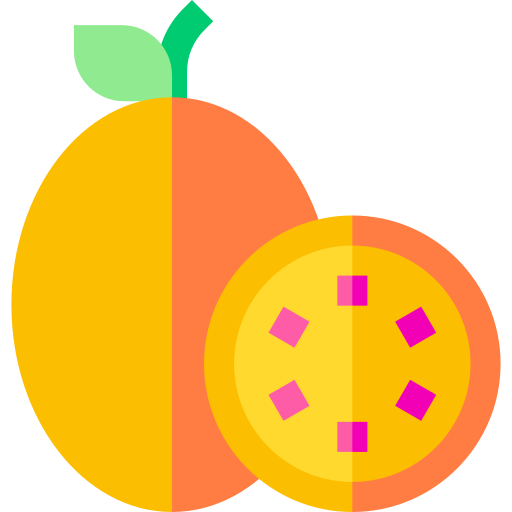 maracuya Basic Straight Flat icon