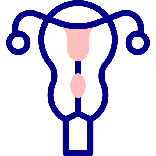 Reproductive system Detailed Mixed Lineal color icon