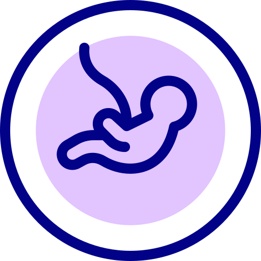 胎児 Detailed Mixed Lineal color icon