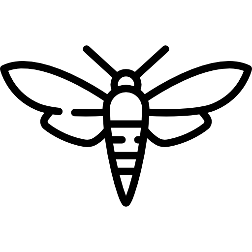 バグ Special Lineal icon