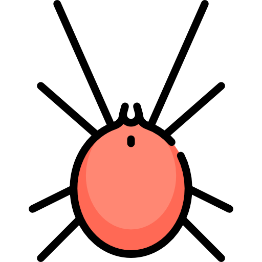 pizca Special Lineal color icono