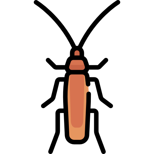cucaracha Special Lineal color icono