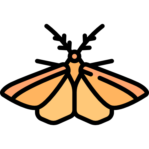 polilla Special Lineal color icono