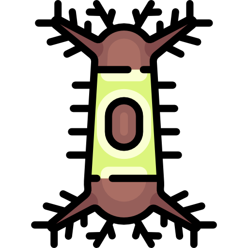 oruga Special Lineal color icono