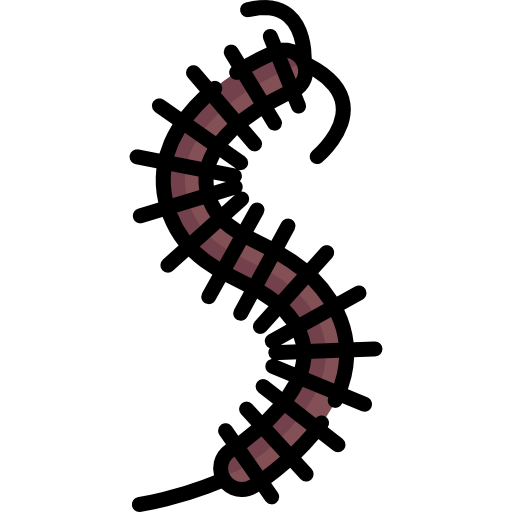 gusano Special Lineal color icono