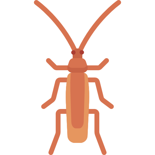 cucaracha Special Flat icono