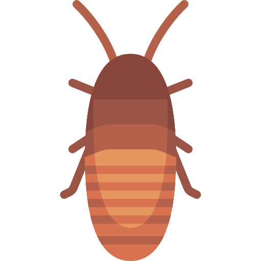 madagaskar sissende kakkerlak Special Flat icoon