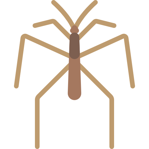 Spider Special Flat icon