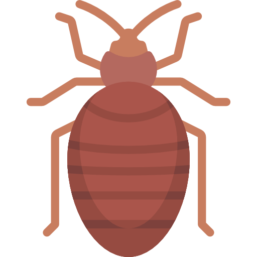 Bedbug Special Flat icon