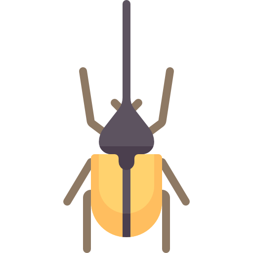 käfer Special Flat icon