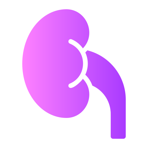 Kidney Generic Flat Gradient icon