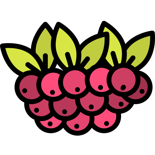 Berries Generic Outline Color icon