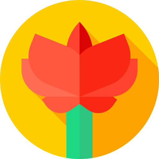 crisantemo Flat Circular Flat icona