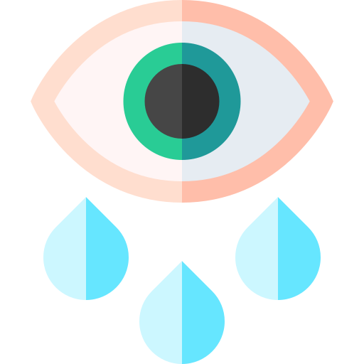 Eye Basic Straight Flat icon