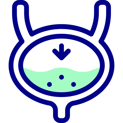 膀胱炎 Detailed Mixed Lineal color icon