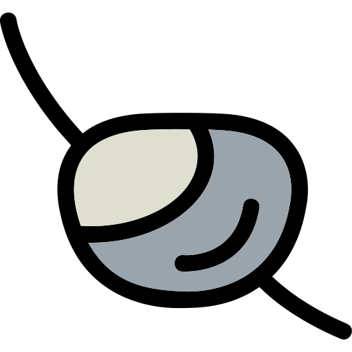 Eye patch Generic Outline Color icon
