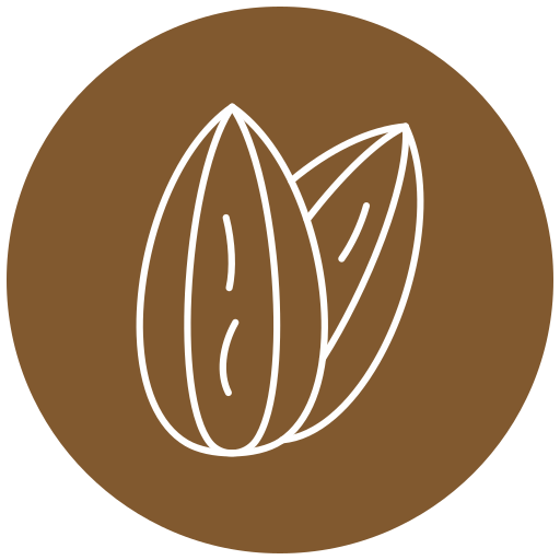 Almond Generic Flat icon