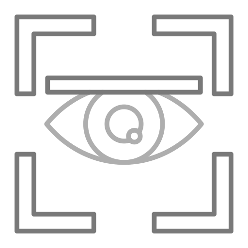 Сканер глаза Generic Grey иконка