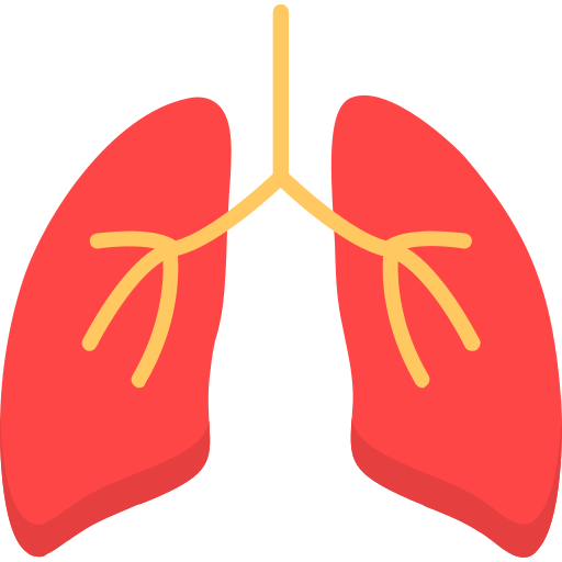 polmoni Generic Flat icona