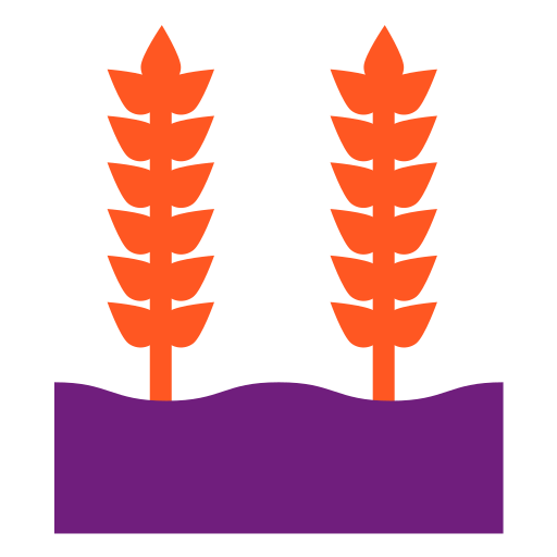 Зерна пшеницы Generic Flat иконка