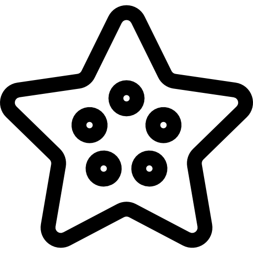 Морская звезда Basic Straight Lineal иконка