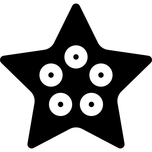 Starfish Basic Straight Filled icon