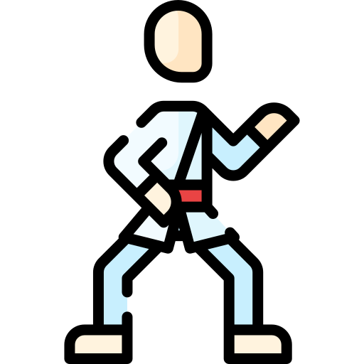Karate Special Lineal color icon