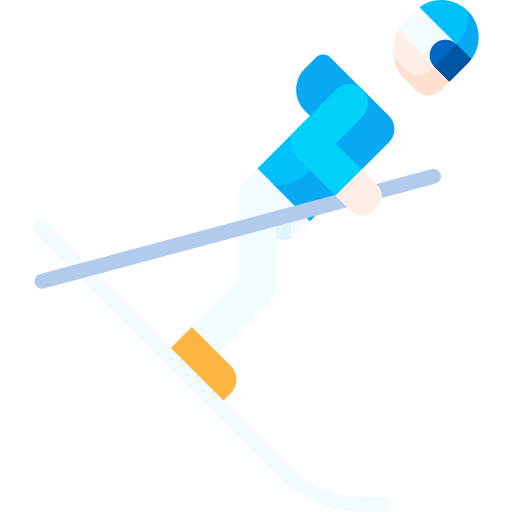 skifahren Special Flat icon